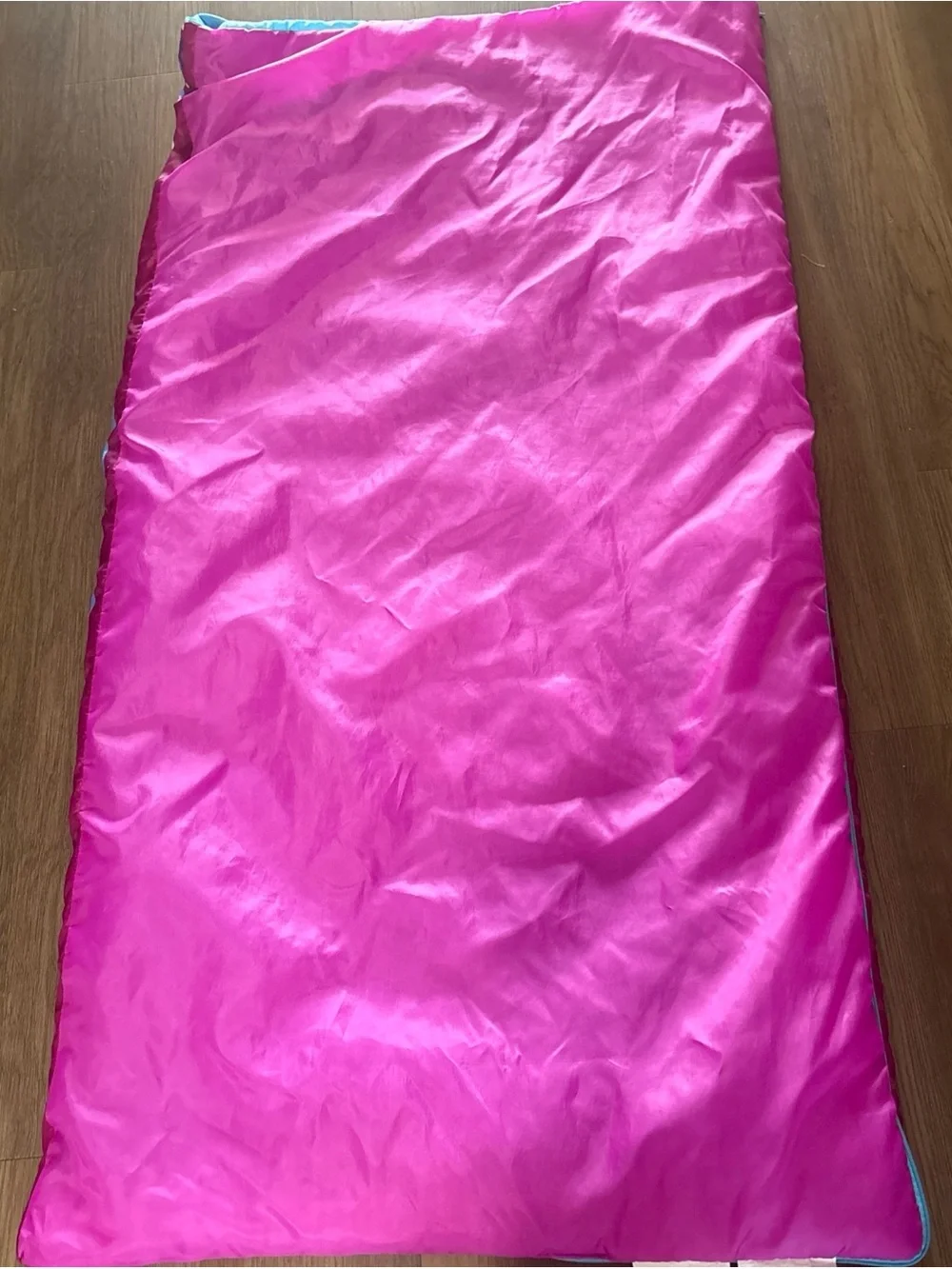 Disney Frozen Pink Blue Heart Toddler Sleeping Bag